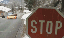 Gif-Guy:other Funny Gifs Http://Gif-Guy.tumblr.com/