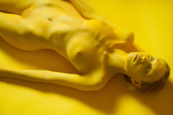 laurencephilomene-photo:  Yellow study #4