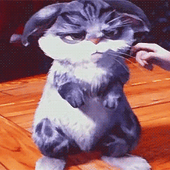 loakspider:  Baby Bunnymund appreciation; more like adorable grumblebum I love how