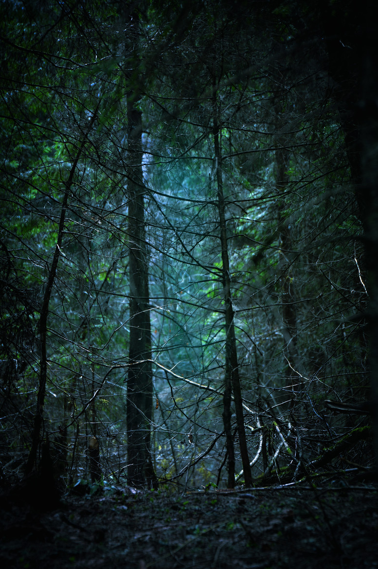 captivesouls:  Nature 
