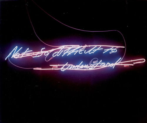 Tracey Emin, Not so difficult to understand, 2002.