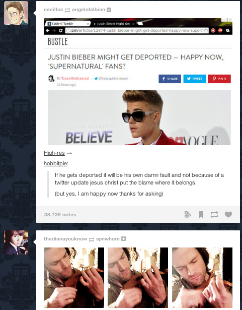 friendly-giant-mushroom:  I would like to thank my dash for being so sassy and relevant. 