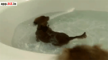 thefrogman:  [Video]