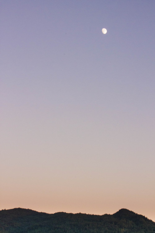 soulclouds:watergender:have i mentioned how nice the view is from our balcony☾ ☁️ ☽