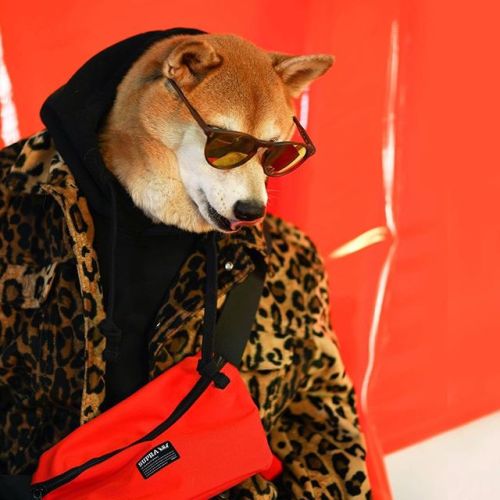 mensweardog:⚡️Orange Justice ⚡️