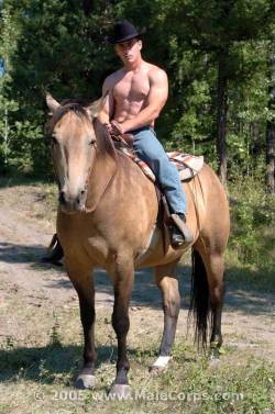 sunbound:  Love a man and his horse… 