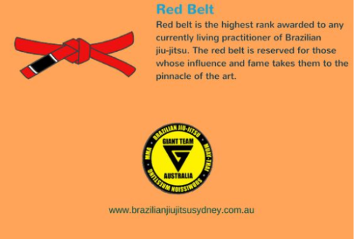 In Brazilian Jiu Jitsu, the belts are the indicator of a players expertise. Belts of different colours like white, blue, purple, brown, black, red are worn by different Brazilian Jiu Jitsu players. A brief introduction regarding the importance of various belts has been offered for the benefit of people who are new to martial arts