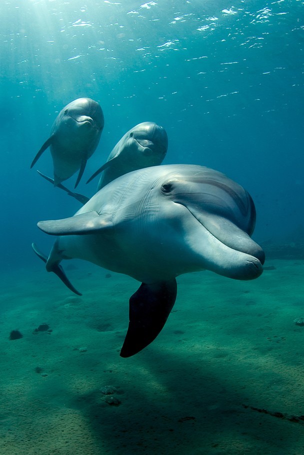 magicalnaturetour:Photo  by Patrick Neumann