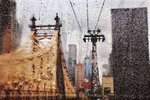 theartjournals:Rainy Day Photography by Christophe JacrotWebsite