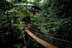 wood-is-good:  Love this!  Let’s get a bunch of us tumblr peeps who are a bit crazy and move here!  in the mean time enjoy the pics :D   via cjwho:  finca bellavista: a sustainable treehouse community, costa rica 