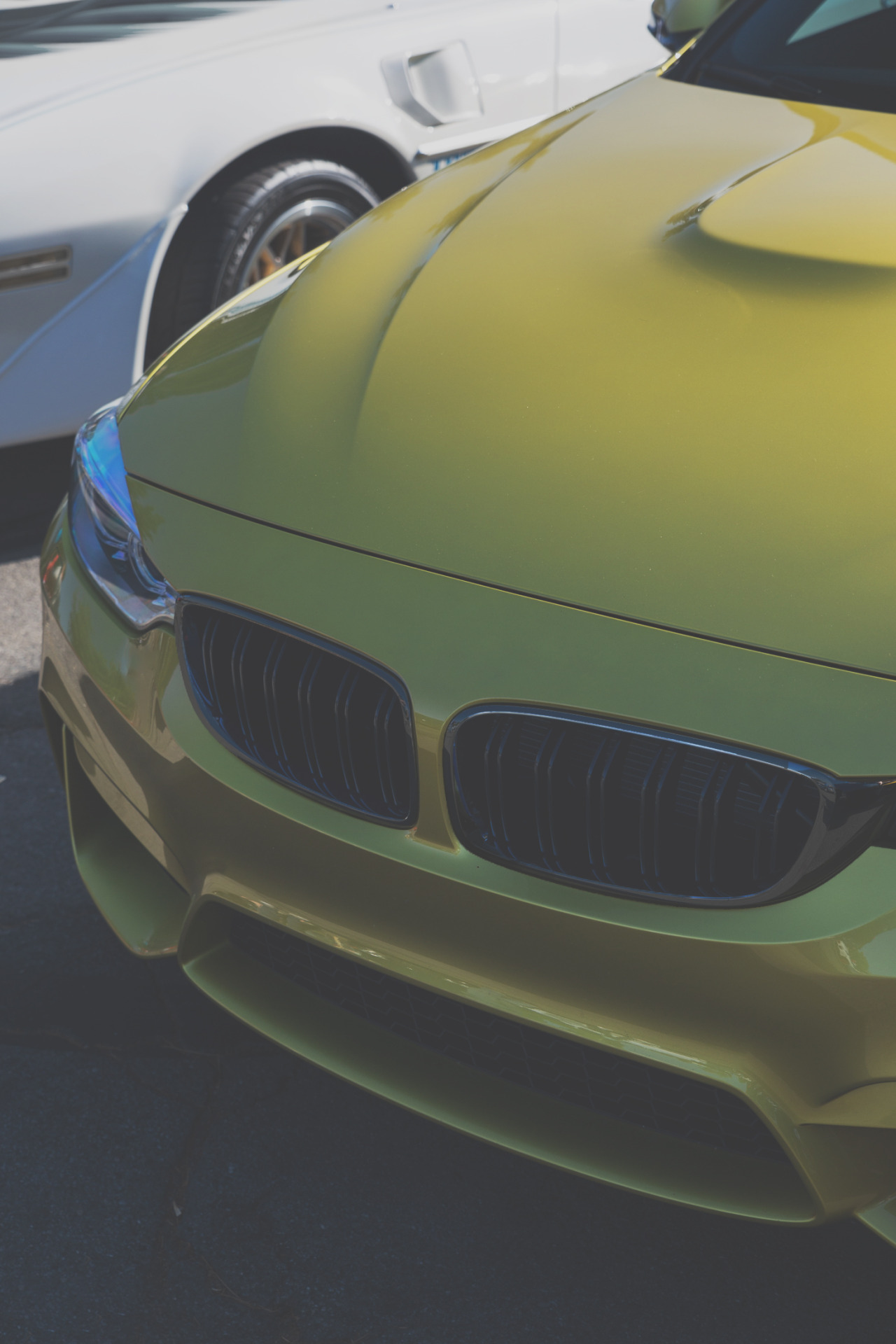 Custom M4 | Coyne © | AOI   
