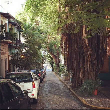 enter-if-you-want-to-cum:  Mi Tierra, Mi Puerto Rico. 
