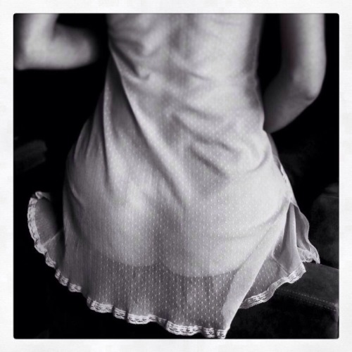 transparencydelights:  {tʁɑ̃s.pa.ʁɑ̃s}
