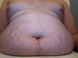 2942222:Laptop belly part two feat. more stretch marks