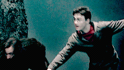remusjohnslupin:  Harry then did something that was both very brave and very stupid.