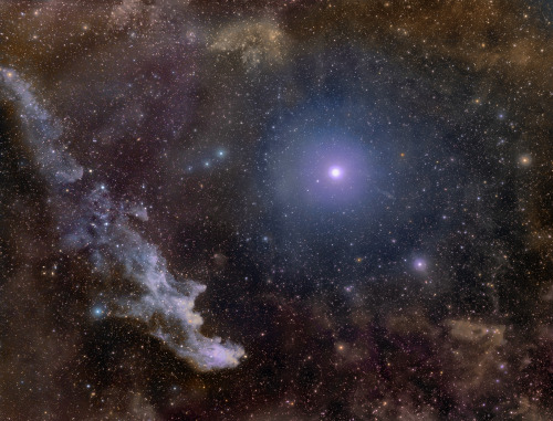 amazinguniverses: Rigel and the Witch Head Nebula 