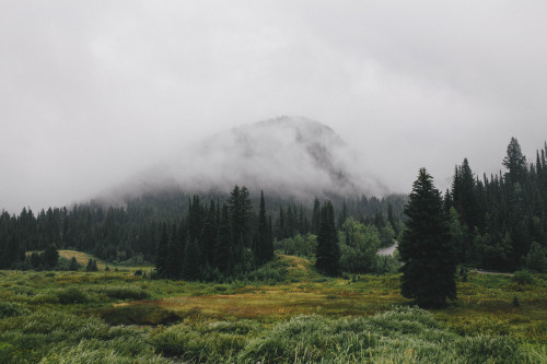 imbradenolsen: foggy mornings in the mountains