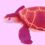 turtlestart