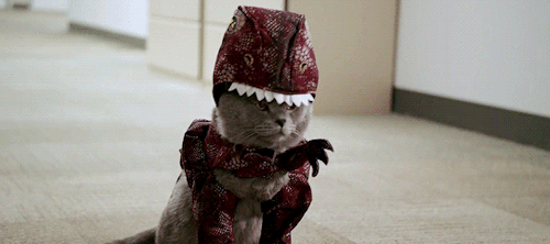 arabellecrane:wait so it was a cat that made the dinosaur sound and tore apart the monitor?