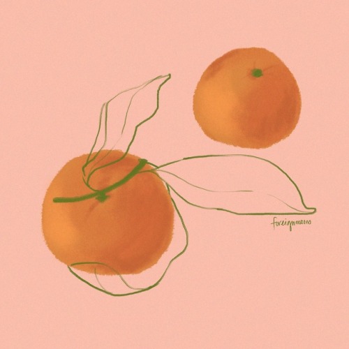 selenologie: mandarin season