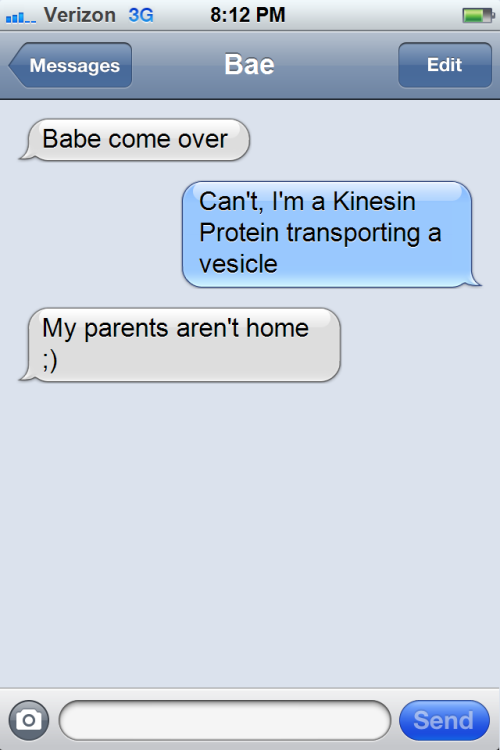 molecularbiologistproblems:  Shut down with biology.