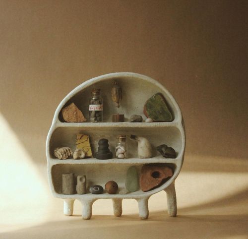 Unsubconscious:shelf For Curiosities By Katie Rose Johnston, Manifesto Studio