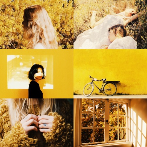 XXX ashryver:Hogwarts Houses  → Hufflepuff: photo