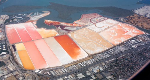 deformutilated: Cargill salt flats in Redwood shores dot the San Francisco Bay Photo credit: Kenneth