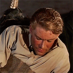 flawlessaudreychastain:  Rest In Peace, Peter O’Toole (2 August 1932 – 15 December