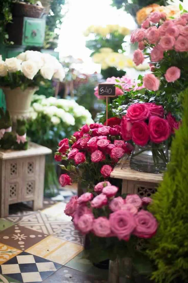 Lavender Hill Interiors