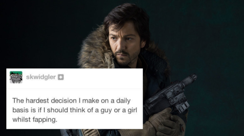 andorandrook: Cassian Andor + bisexuality test posts(more rogue one + text posts (X))