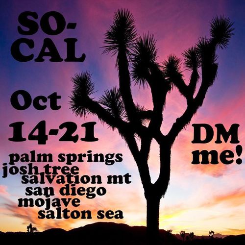 I have a week free so I’m spontaneously heading down to the desert right now. If you are anywhere in SoCal and want to collaborate at any of these locations, I am literally going to just be floating around randomly in my van with Obi and we will