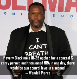 thingstolovefor:    So Wendell Pierce is right. If the white racists of the NRA and Republican Party want “guns everywhere,” then black people ought to buy them in droves and start carrying them around legally. Then we can all watch as racist white