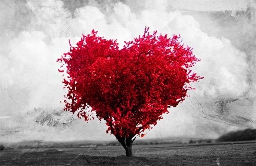 Today is about my love. As was yesterday, and shall be the next. You have always been there for me, as I have for you. We are the atrium and ventricles, we are oxygen and life. One cannot exist without the other. I’m blessed to have you. Thank you