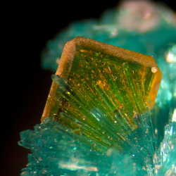 themineralogist:  Dioptase and Wulfenite