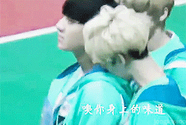  best of dumb exo pt. 2: ↳ Sehun 