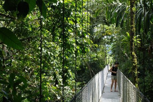 vanillaa-sunshine: acai-daisy:  queued- feel free to delete :) x   ♡♡ active jungle blog ♡♡