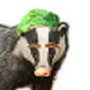 septicbadger