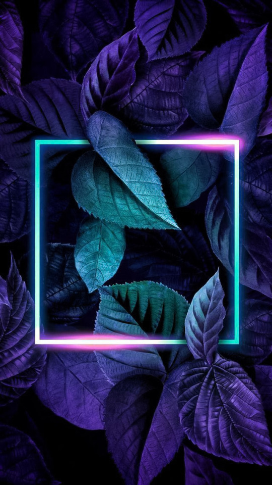 WALLPAPERS LED | DÊ LIKE!