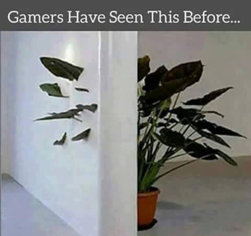 acoolguy:jjnuzz:only gamers seen this…i’ve seen this before