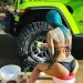 XXX beachnjeep:Sundays are jeep wash days  photo