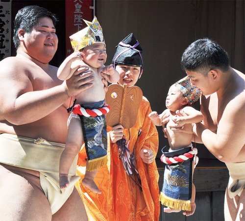 curves-charmers: 泣き相撲 - 比々多神社, 三ノ宮, 伊勢原, 神奈川Crying Baby Festival - Hibita Shrine, Sannomiya, Isehara