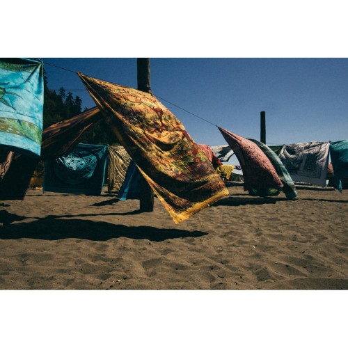 Easy breezy beach dayz at #wreckbeach Vancouver knows a thing two about #beachlyfe (at Wreck Beach)