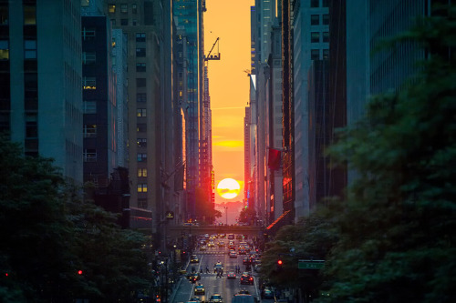 vmagazine:  This year, the sun will set on the grid with half the disk above the horizon and half below on Thursday, May 29, 2014 at 8:16 p.m. EDT. 1. Arrive 30 minutes before the sun sets on the grid. 2. Positioning yourself as far east in Manhattan