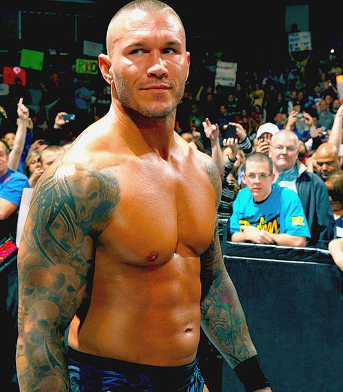 hotcelebs2000:RANDY ORTON porn pictures
