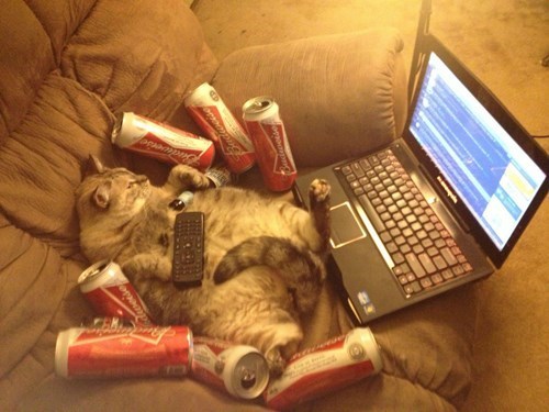 advice-animal:  Just a Normal Night Inadvice-animal.tumblr.com 