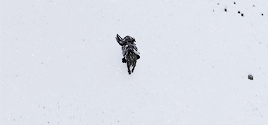 Oh, My Sweet Summer Child. What Do You Know About Fear? Fear Is For The Winter When The Snows Fall A