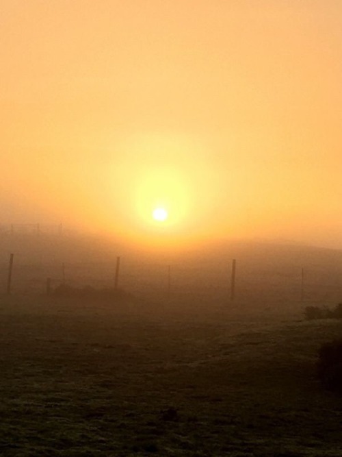 oldfarmhouse: Here comes thesun GoodMorning