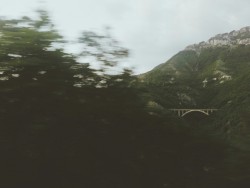 drzimecvrsto:  The most beautiful train ride