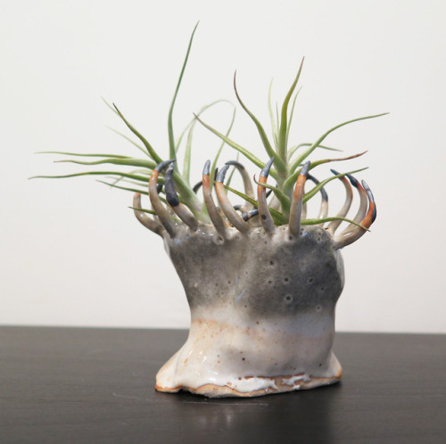 itscolossal:Claws and Teeth Emerge From Otherworldly Ceramic Vessels by Gregory Knopp